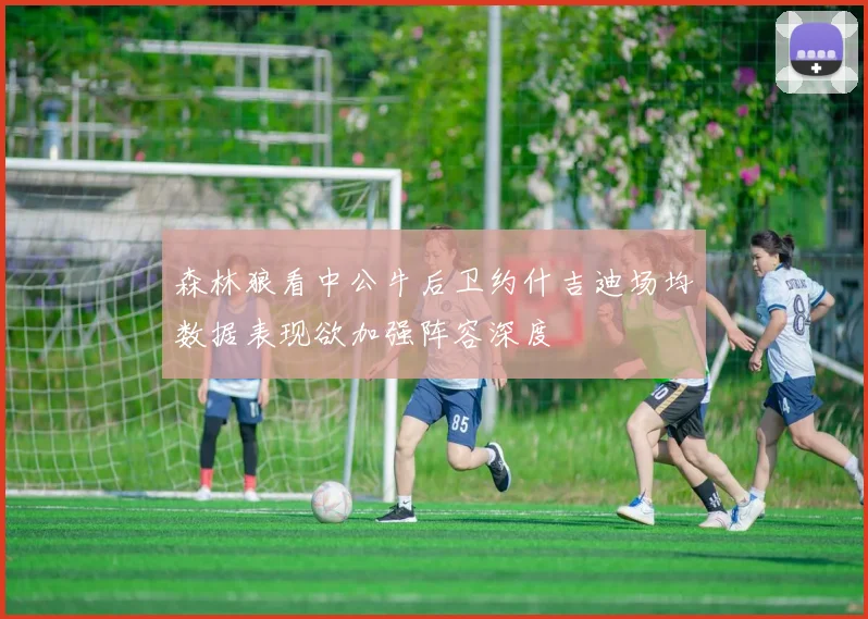 森林狼看中公牛后卫约什吉迪场均数据表现欲加强阵容深度